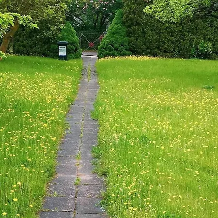 Happi Hippi Kolonia Rybacka