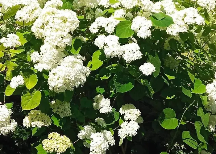 Holiday home Happi Hippi *