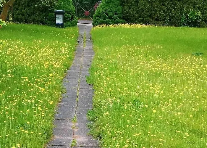 Happi Hippi Kolonia Rybacka